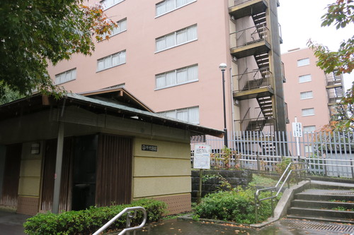 f0254219_2318555.jpg