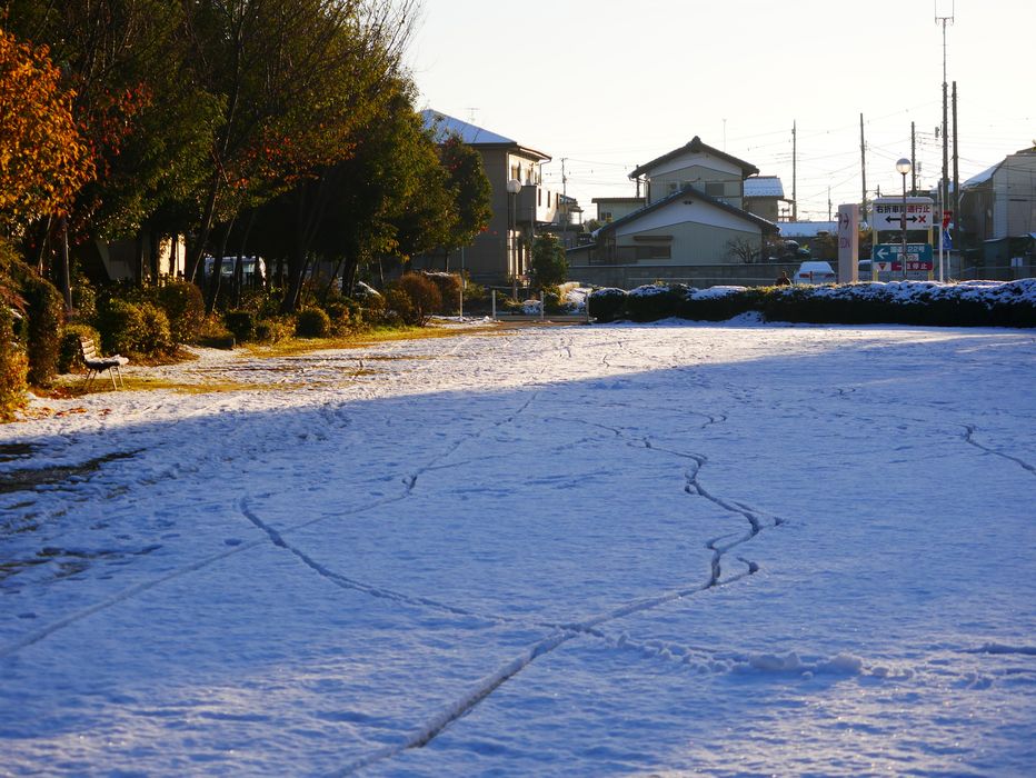 冷えた朝、前日の雪が消えない内にブラリ散歩に出た_a0031821_19412448.jpg