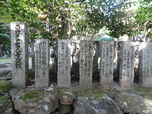 f0000521_3292415.jpg