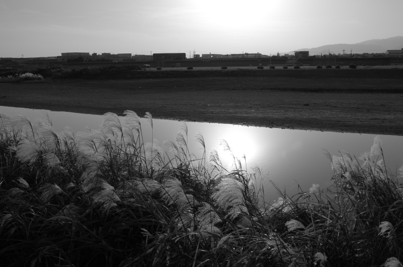 c0176622_10450399.jpg
