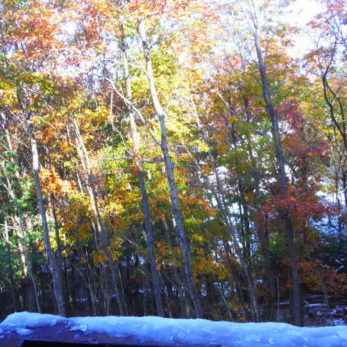 c0310322_17512511.jpg