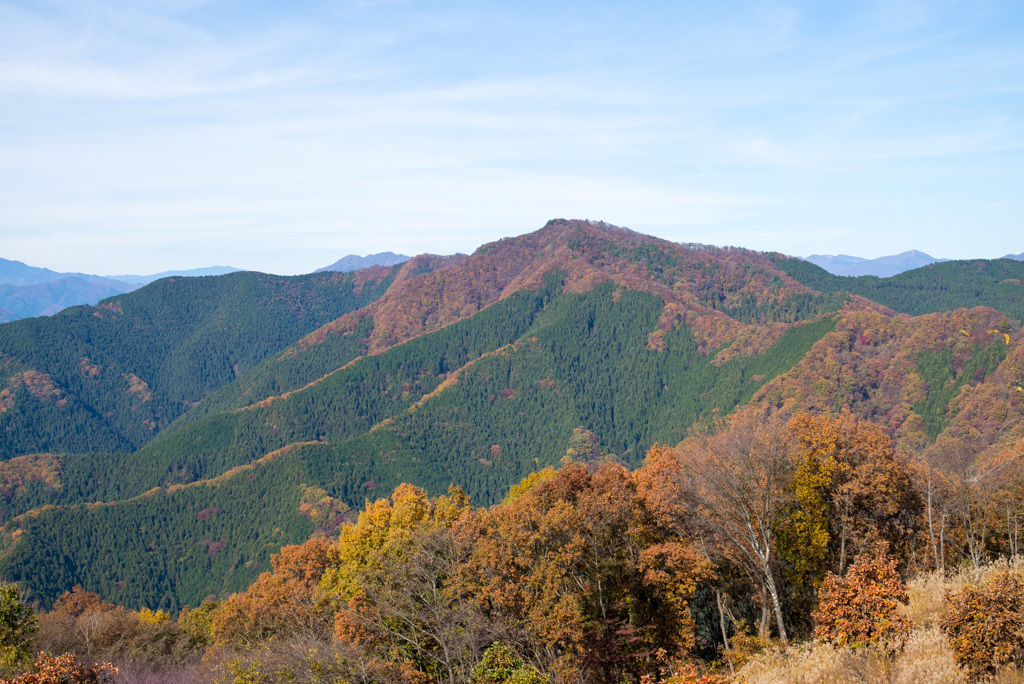 d0161322_19280719.jpg