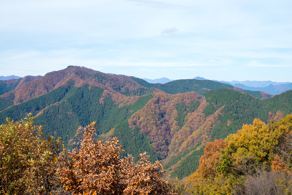 d0161322_19342555.jpg