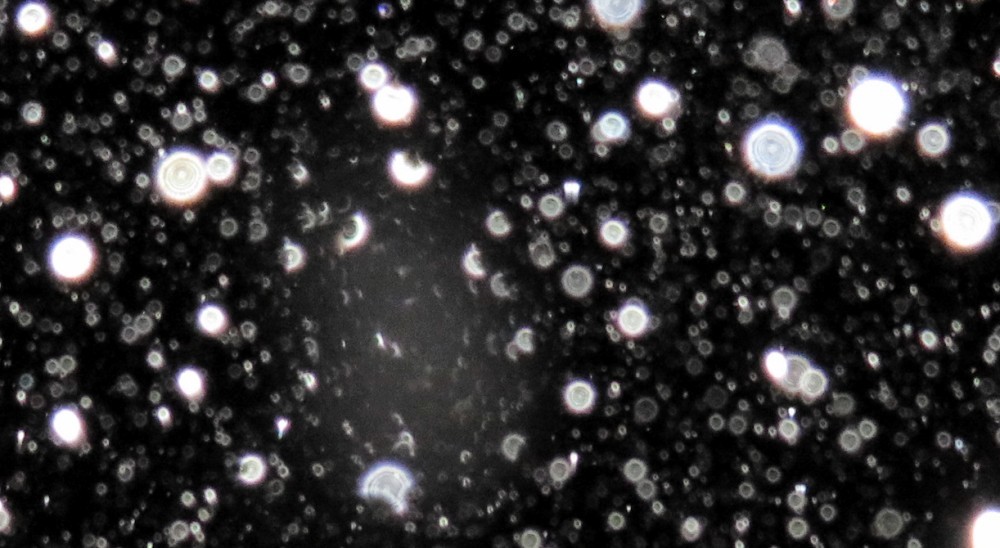 c0331825_15171577.jpg