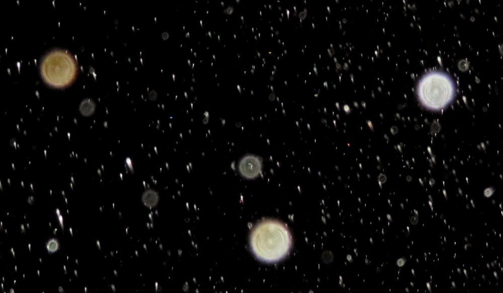 c0331825_15225884.jpg