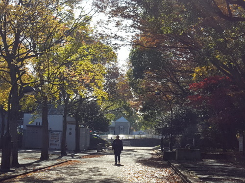 小身者も楽しんだ 歌舞伎「仮名手本忠臣蔵 完全通し上演第二部」_e0016828_21353738.jpg