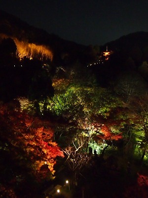 a0148431_11212541.jpg