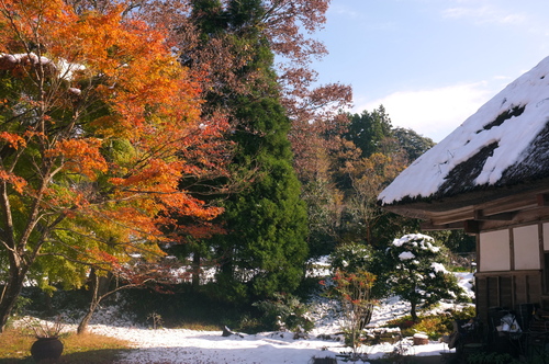 紅葉と雪_c0308431_13105846.jpg