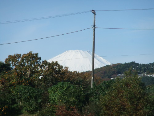 b0137932_15233793.jpg