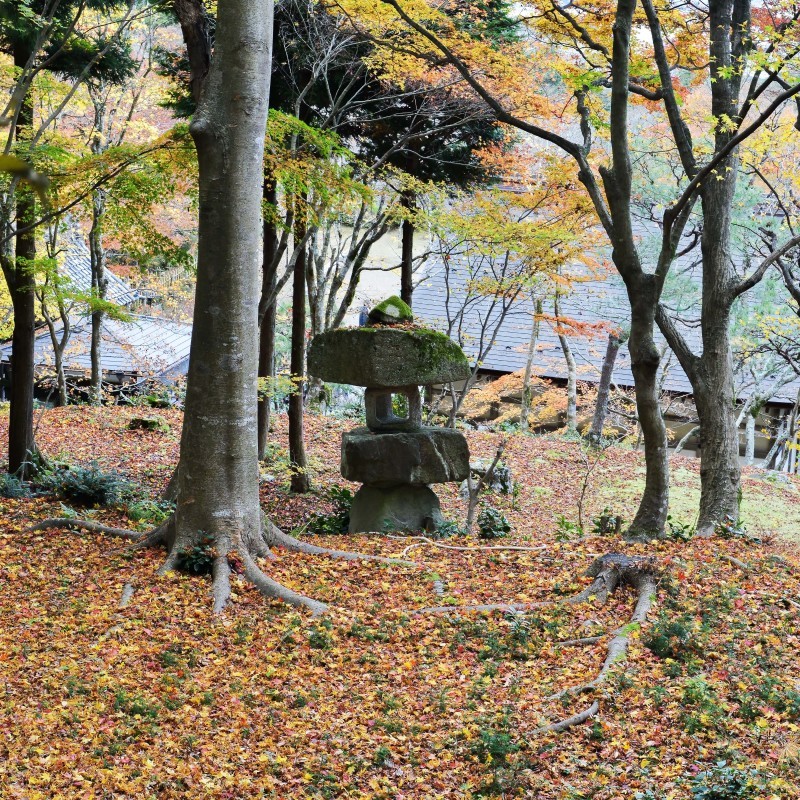 湖東三山の秋　百済寺 ③_d0246136_23471075.jpg