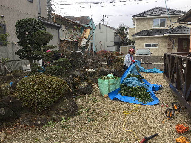 送迎・打ち合わせ・植木・下見・・・・といろいろ。_f0031037_16151505.jpg