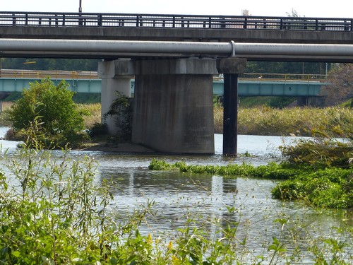 e0027240_1493869.jpg
