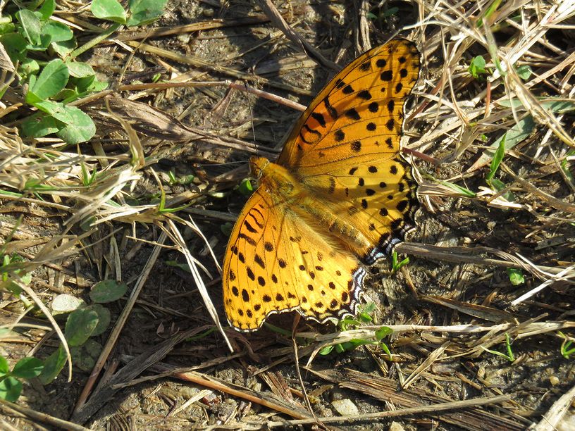 f0105542_13155112.jpg