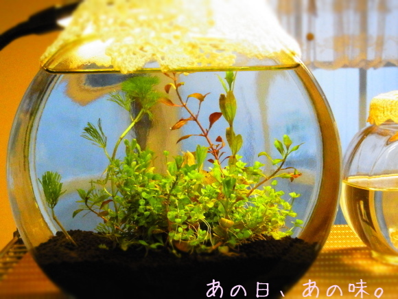 a0305046_09194480.jpg