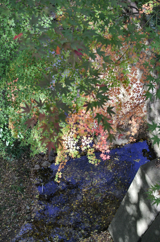 d0180447_00310030.jpg