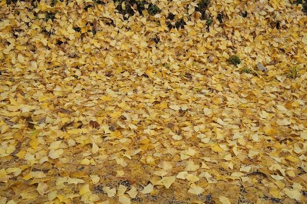 b0242248_01202135.jpg