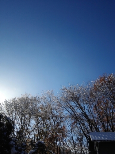 c0366349_16355471.jpg