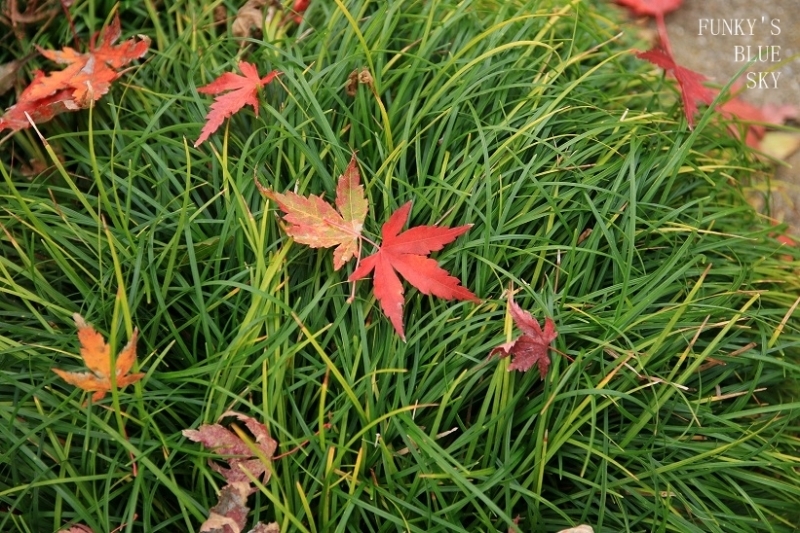 c0145250_16072653.jpg