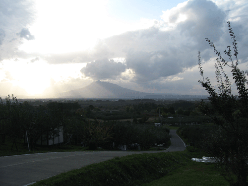 b0111551_1911380.gif