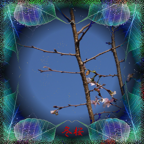 b0133752_21205152.png