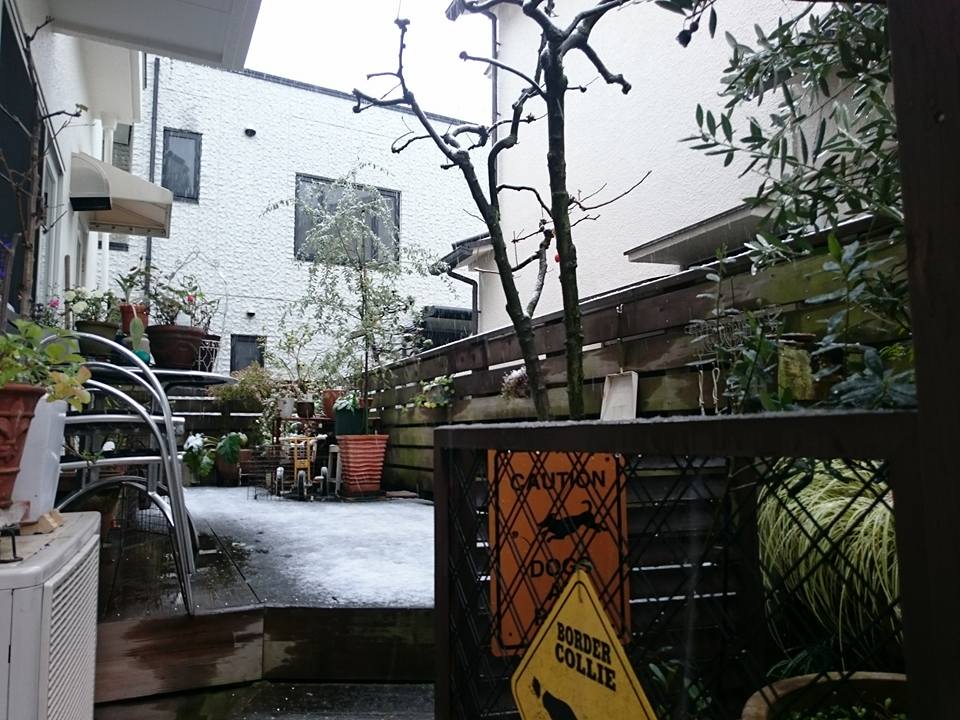 b0268454_23565256.jpg