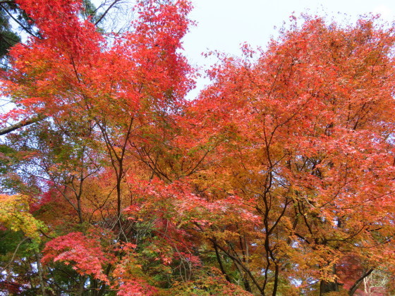 c0367054_21235313.jpg