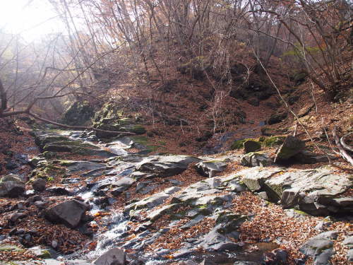 b0335256_13134444.jpg