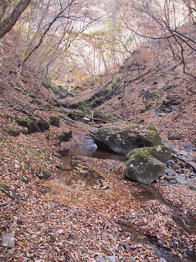 b0335256_13144470.jpg