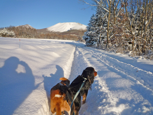 雪晴れの朝_b0045357_913068.jpg