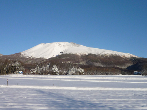 雪晴れの朝_b0045357_961131.jpg