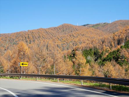 e0044657_2336266.jpg