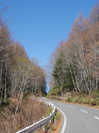 e0044657_23374562.jpg