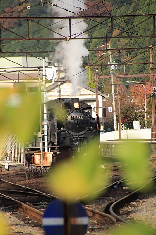 a0167759_0563673.jpg