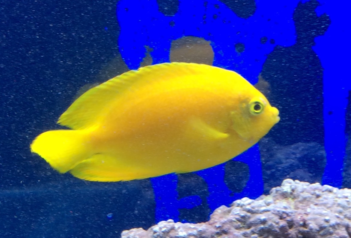 a0162261_1394518.jpg