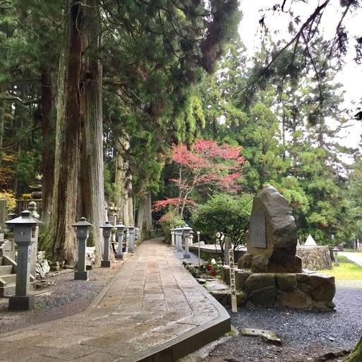 高野山 ・奥の院エリア(2)_a0053063_9163850.jpg