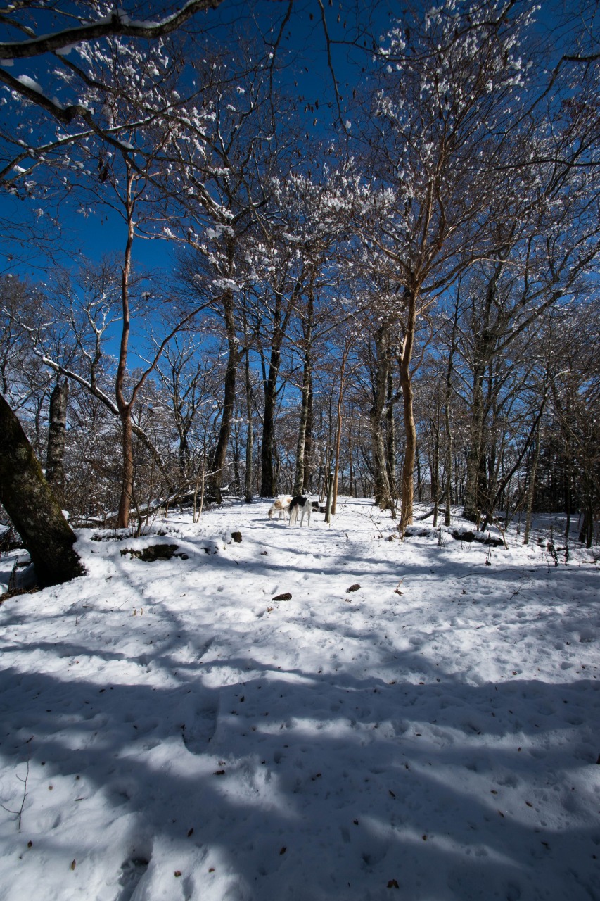 c0260264_1443577.jpg