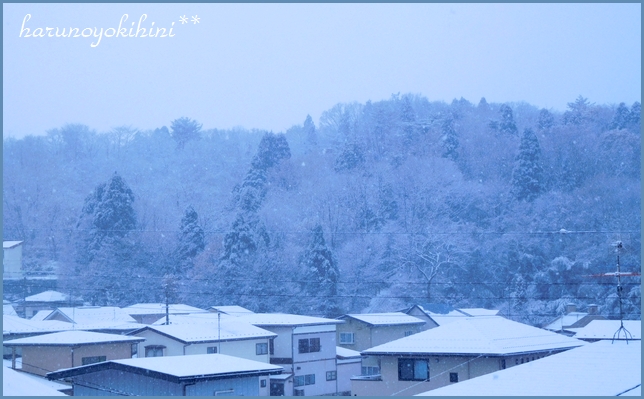 雪だるま_d0337265_2038252.jpg
