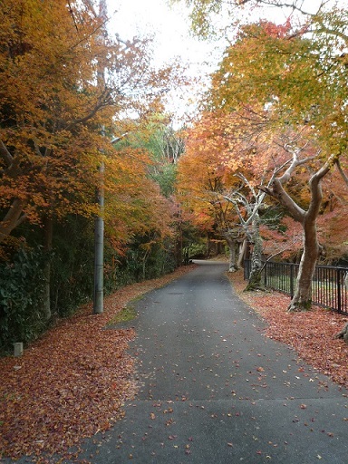 紅葉公園へ_f0032265_20475631.jpg