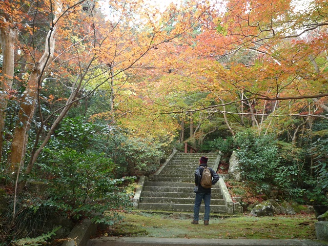 紅葉公園へ_f0032265_20483581.jpg