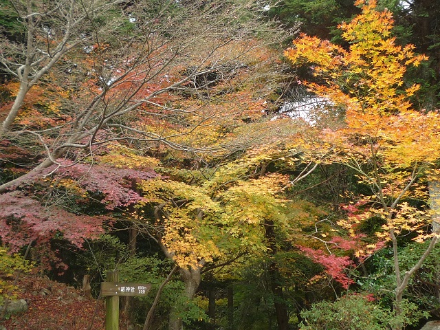 紅葉公園へ_f0032265_20511079.jpg