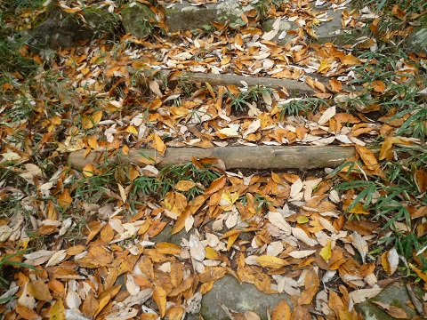f0032265_2058745.jpg
