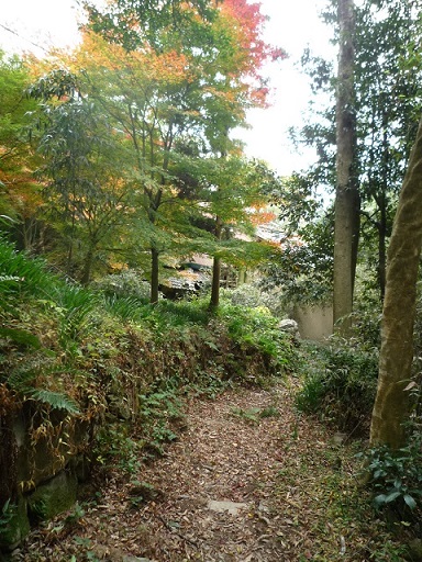 f0032265_2123727.jpg