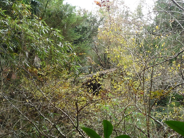f0032265_2135956.jpg