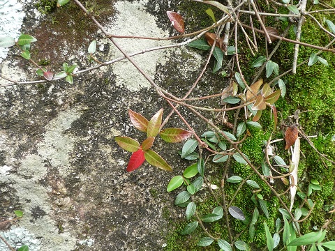 f0032265_2217793.jpg