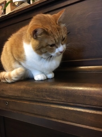 隣がホテルに⁈( ̄◇ ̄;)_f0363168_18212383.jpeg