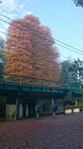 e0212073_06295471.jpg