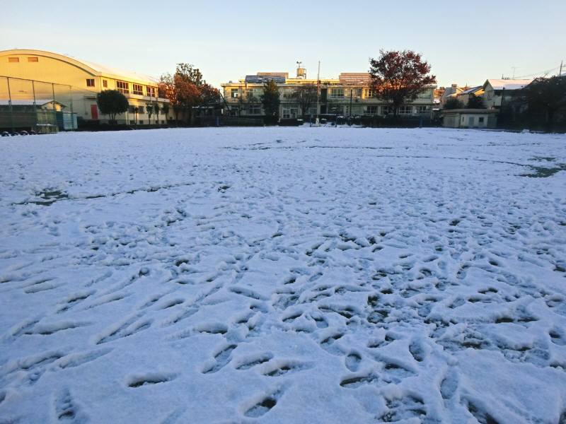 f0059673_22030174.jpg