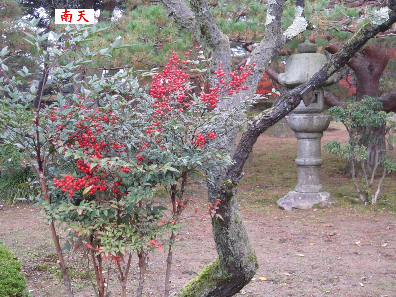a0207574_7514681.jpg