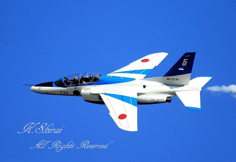 入間基地航空祭2016. 　～ ブルーインパルス  / 華麗なるフライト ～_c0073377_22255221.jpg