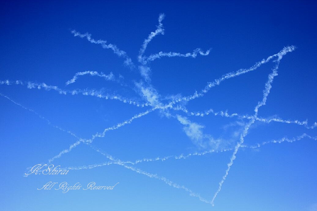 入間基地航空祭2016. 　～ ブルーインパルス  / 華麗なるフライト ～_c0073377_22264532.jpg